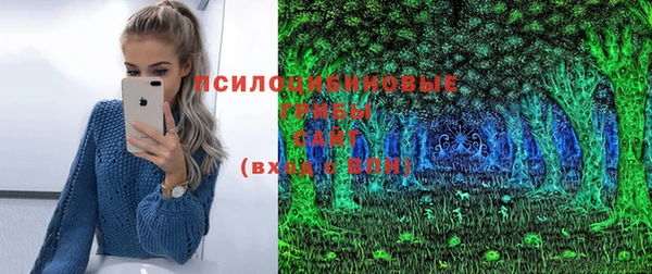гашишное масло Богородицк