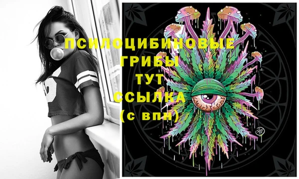 гашишное масло Богородицк