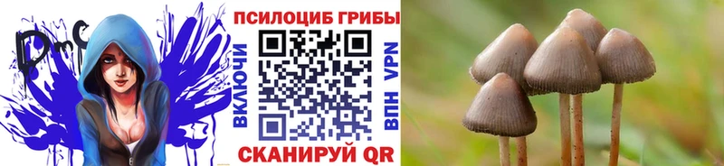 Псилоцибиновые грибы прущие грибы  площадка формула  Уссурийск 